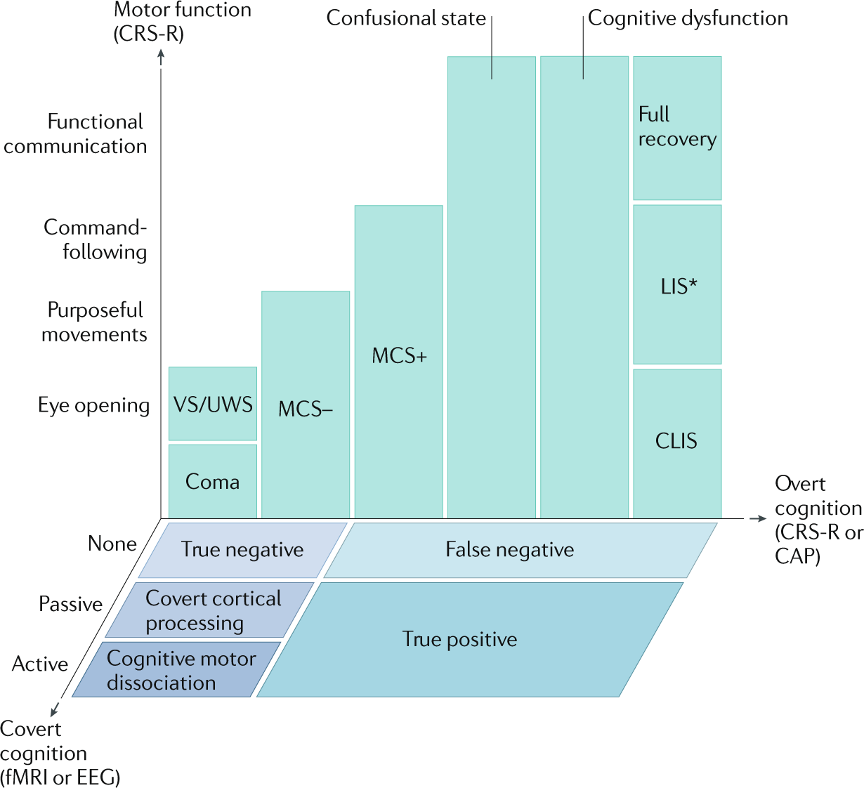 Recovery from disorders of consciousness: mechanisms, prognosis and  emerging therapies | Nature Reviews Neurology