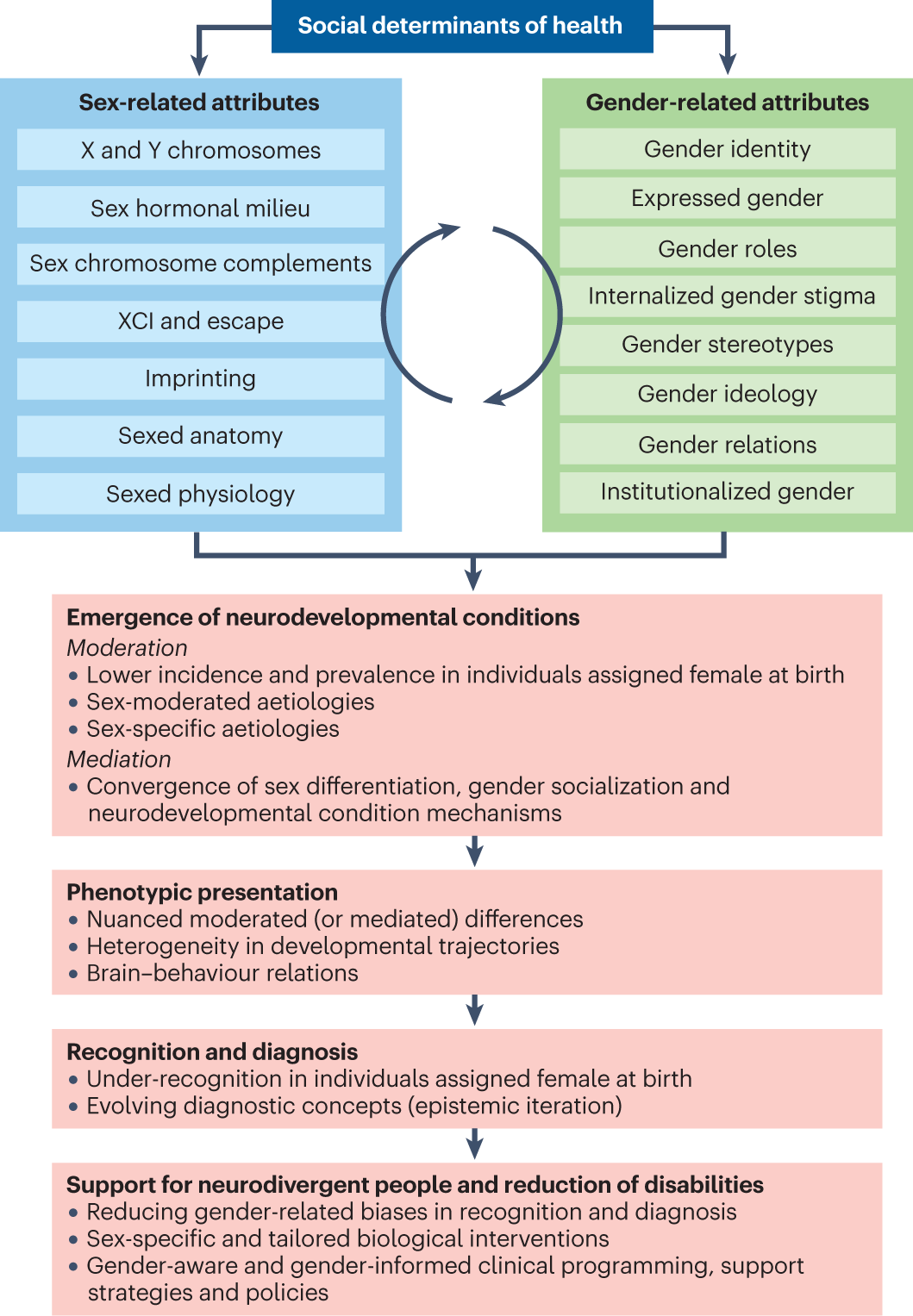 Sex and gender in neurodevelopmental conditions Nature Reviews Neurology