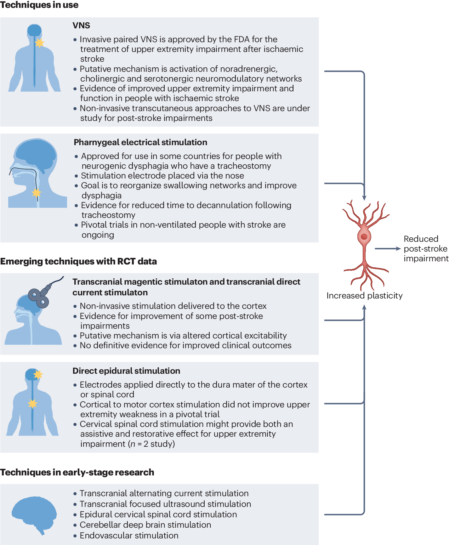Springer Nature Neural Pathway