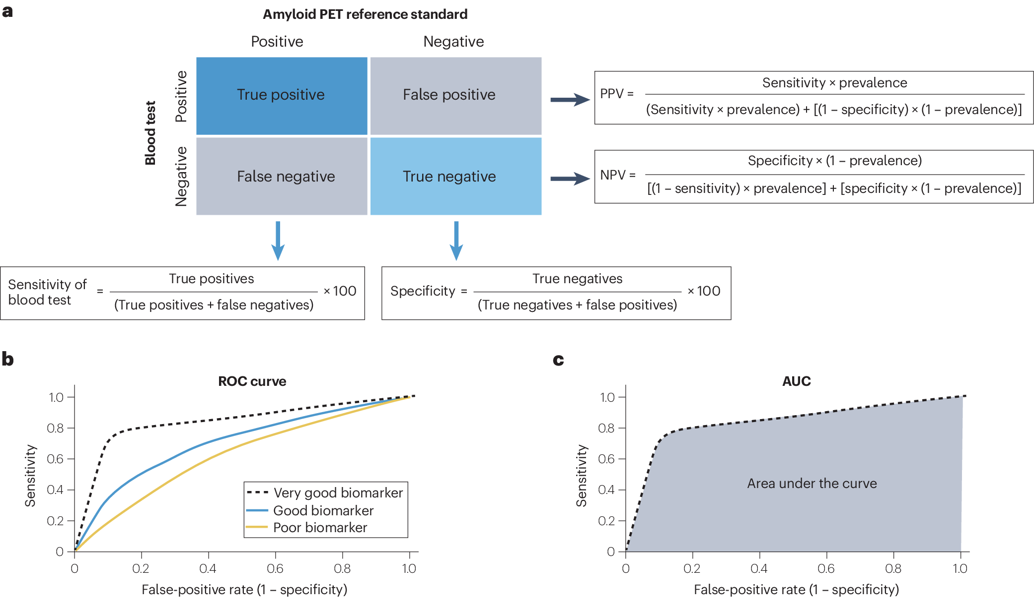 Acceptable performance of blood biomarker tests of amyloid 