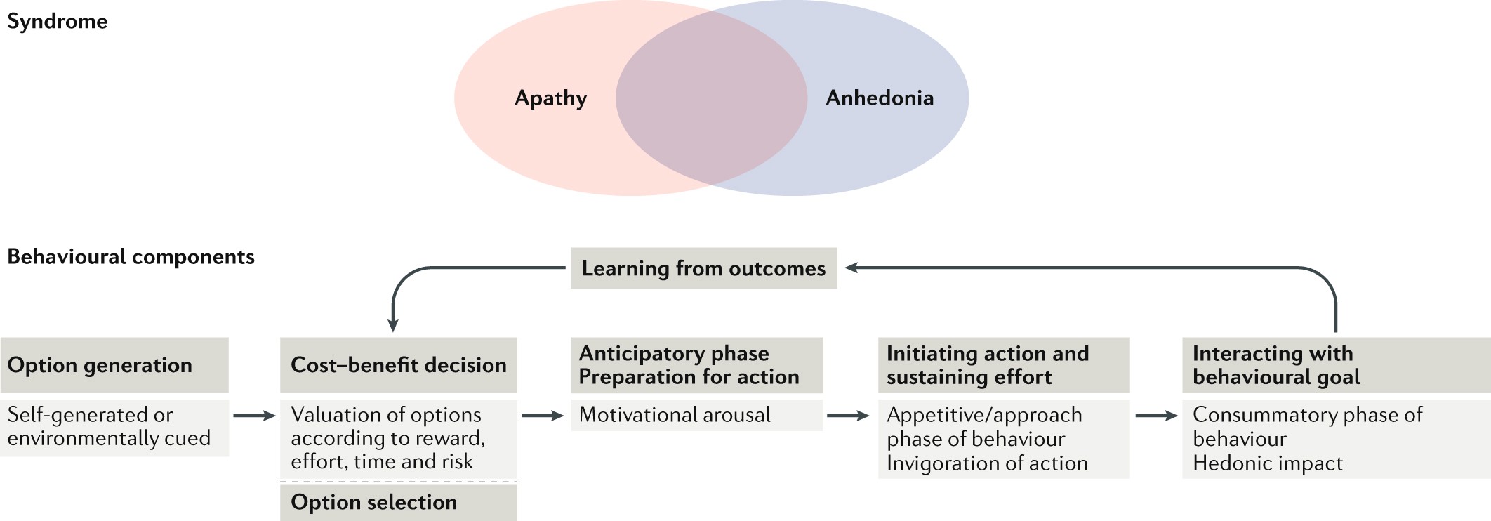 PDF) Post-Stroke Apathy: An Exploratory Longitudinal Study