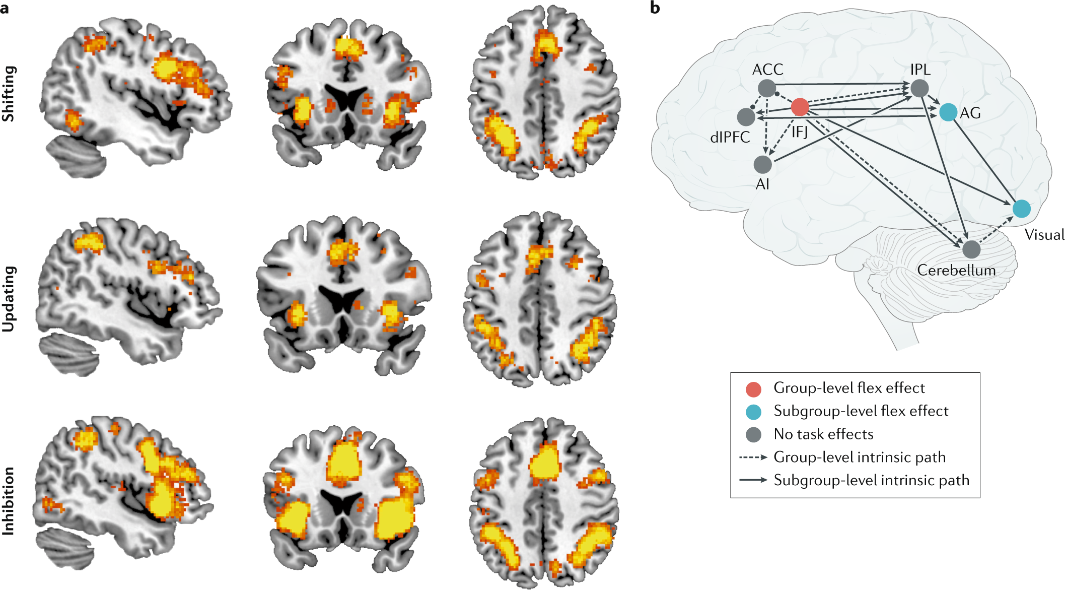 BRAIN Cognitive skills & problem solving assessment