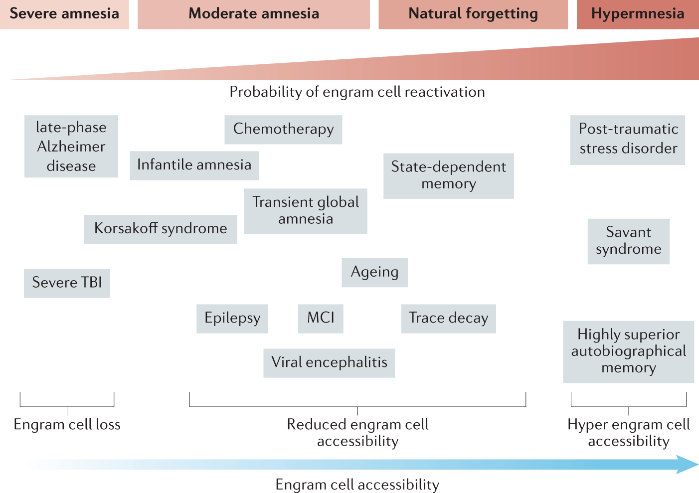 theories of forgetting in psychology