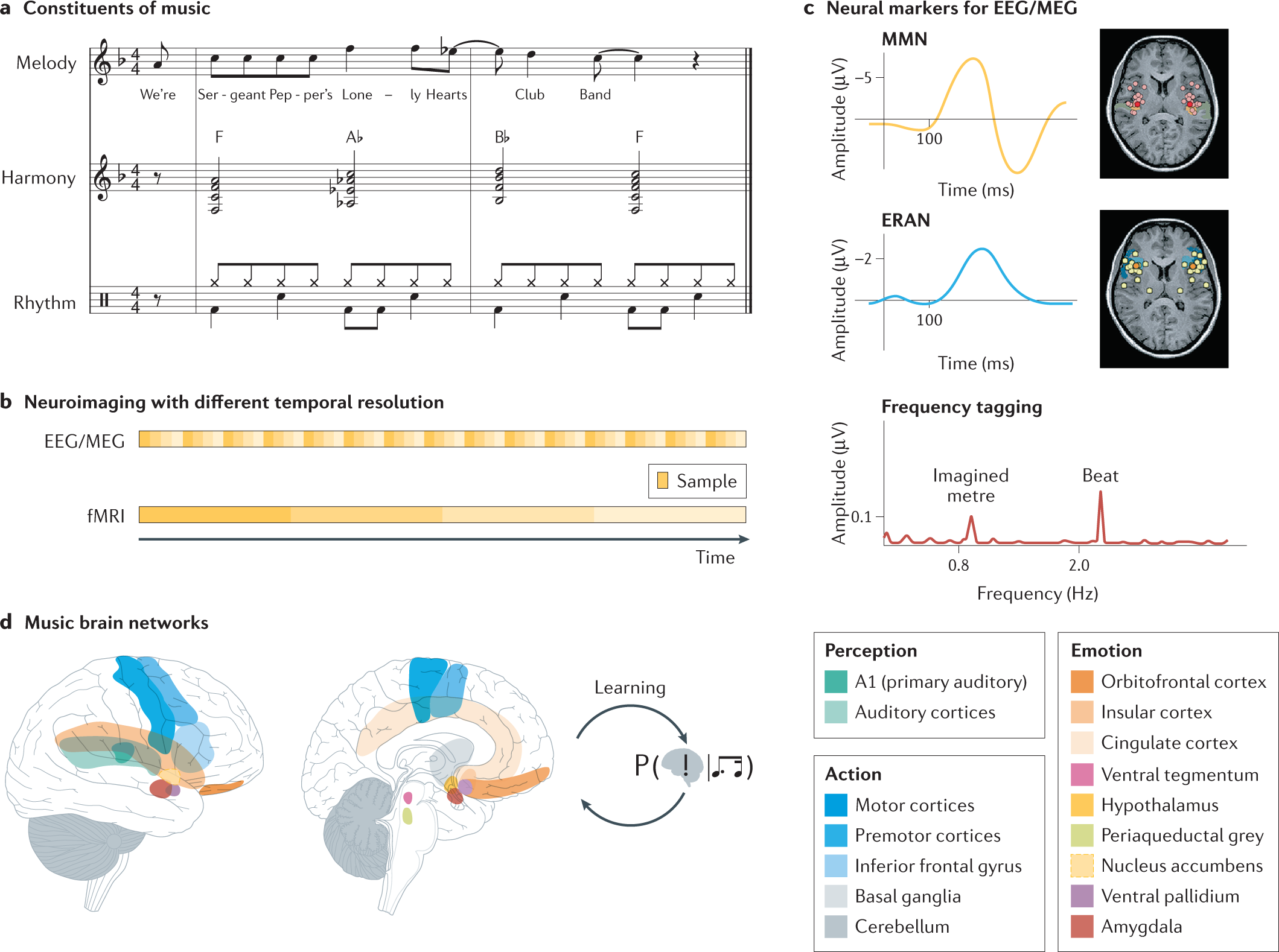 Music in the brain  Nature Reviews Neuroscience