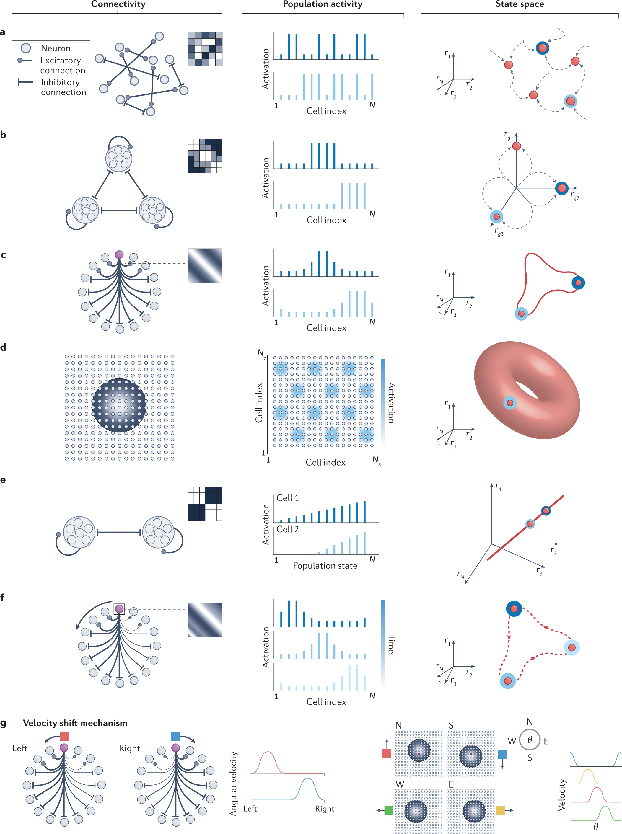 Attractor and integrator networks in the brain | Nature Reviews Neuroscience