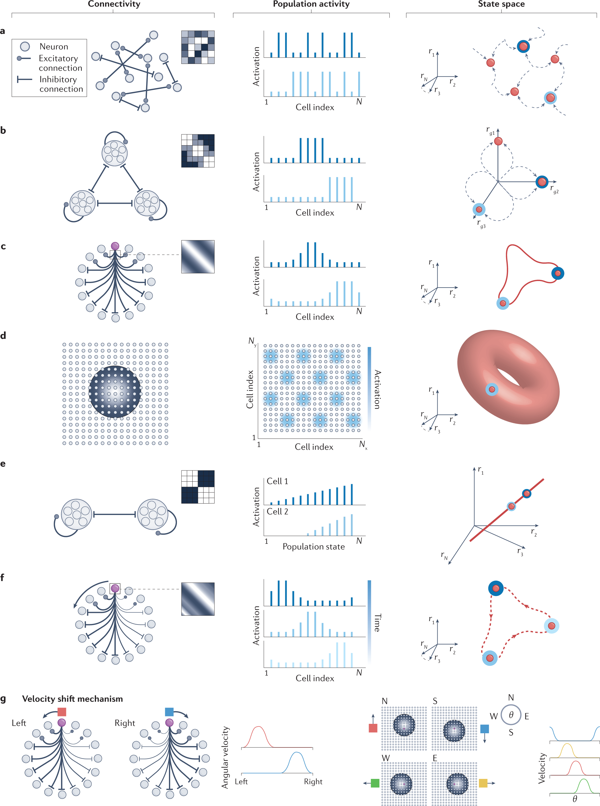 https://media.springernature.com/full/springer-static/image/art%3A10.1038%2Fs41583-022-00642-0/MediaObjects/41583_2022_642_Fig1_HTML.png