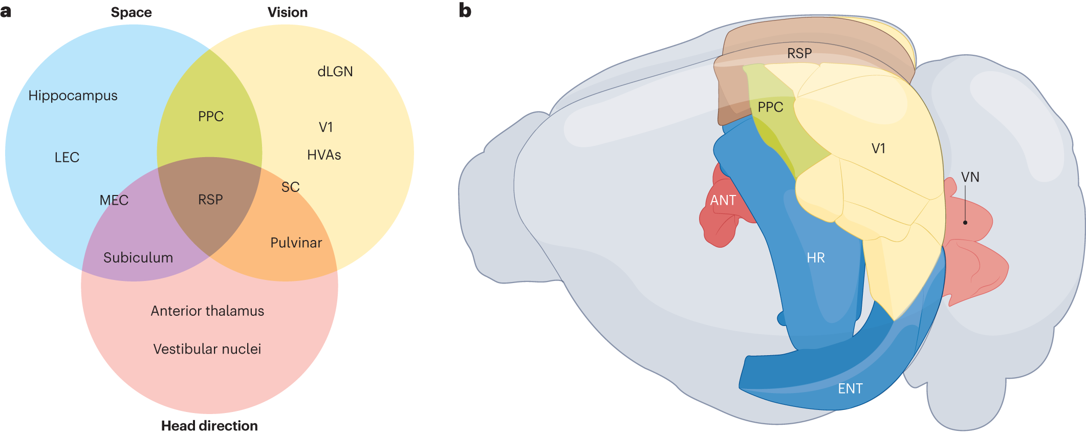 The perils of walking on theMoon, image size:2122x848