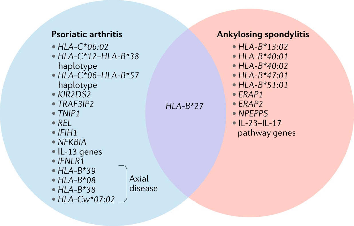Axial Disease In Psoriatic Arthritis And Ankylosing Spondylitis: A Critical  Comparison | Nature Reviews Rheumatology