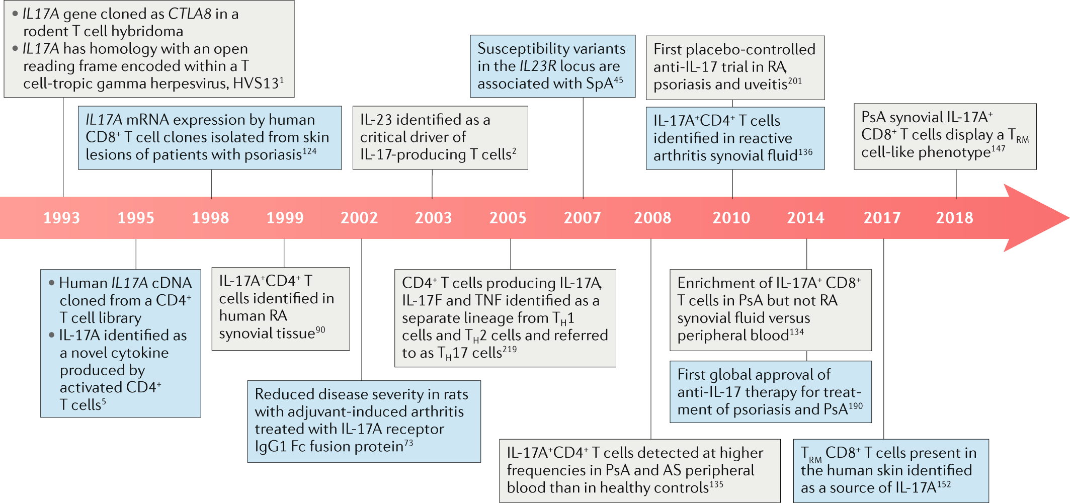 Il 17 In The Immunopathogenesis Of Spondyloarthritis Nature Reviews Rheumatology