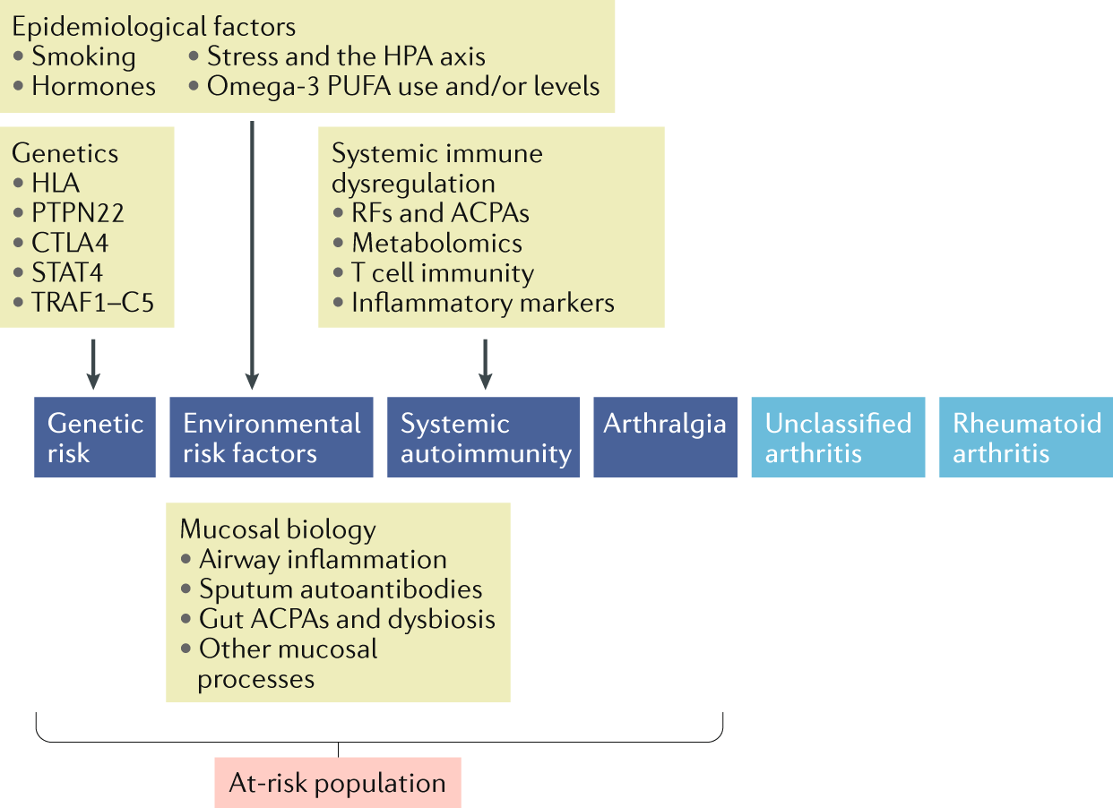 Rheumatoid Arthritis And The Mucosal Origins Hypothesis Protection Turns To Destruction Nature Reviews Rheumatology