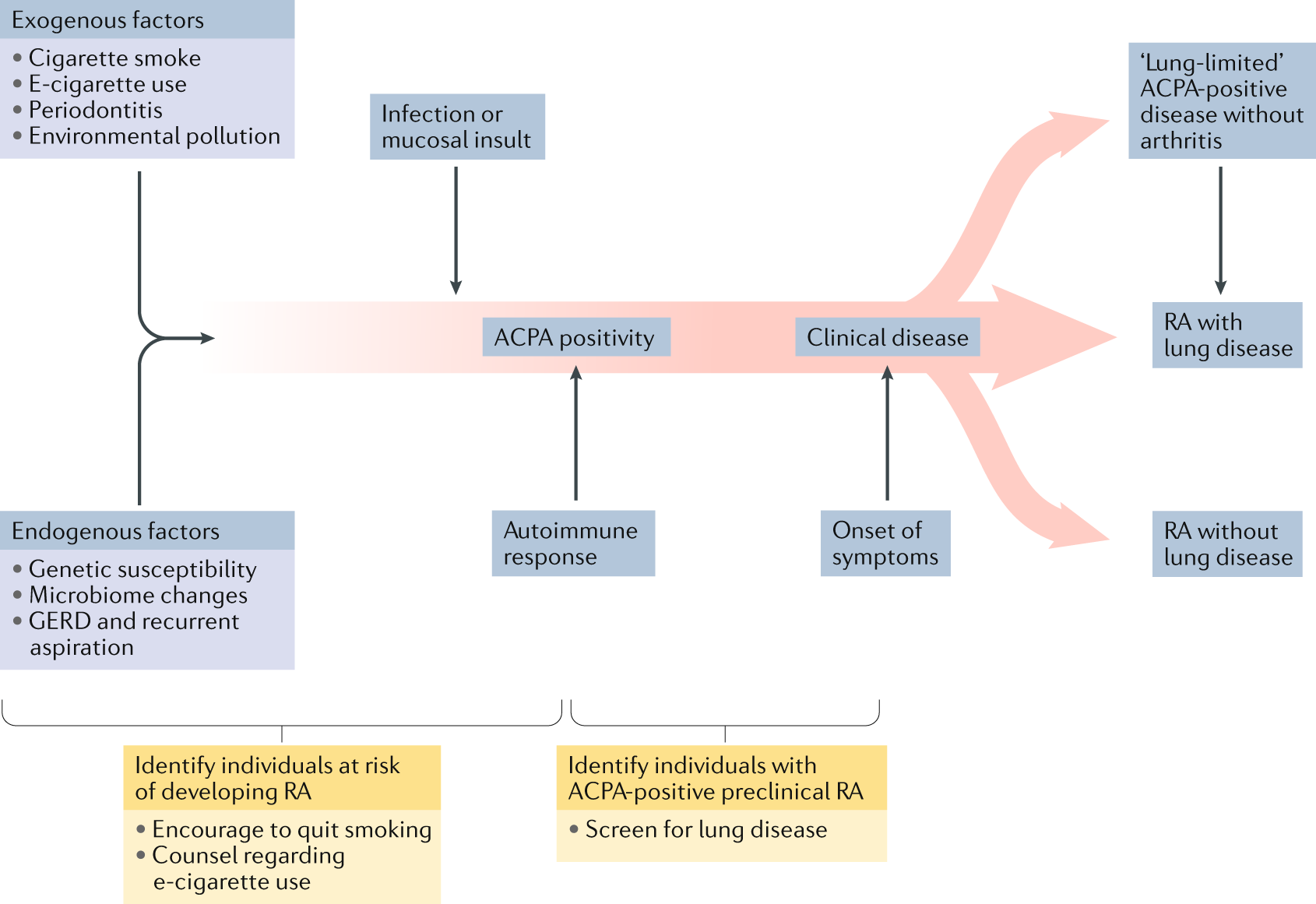 Mechanisms Of Lung Disease Development In Rheumatoid Arthritis Nature Reviews Rheumatology