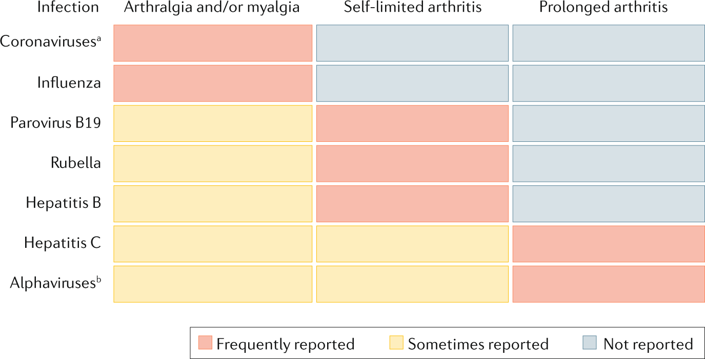 arthralgia co to je