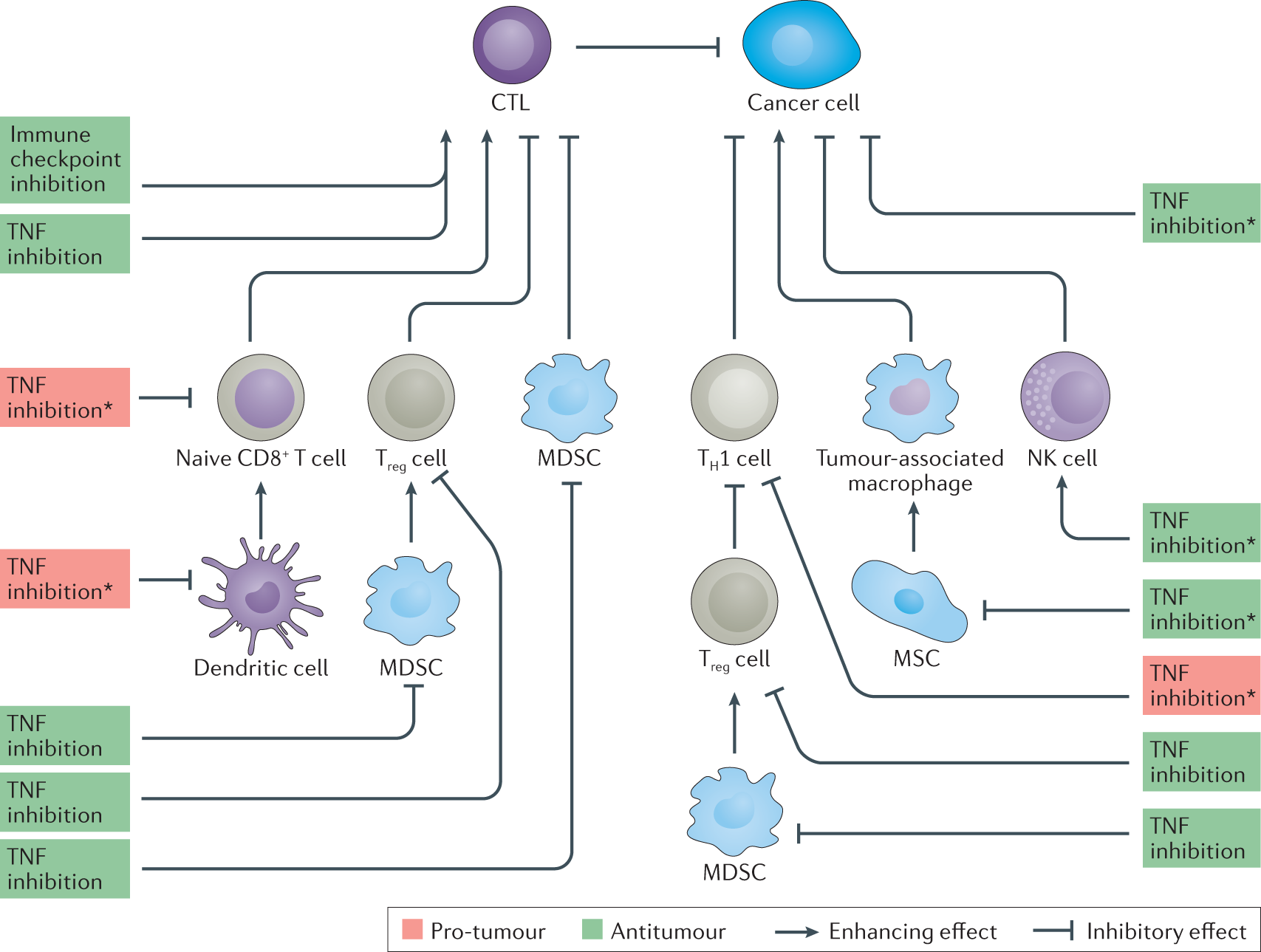 TNF in the era of immune checkpoint inhibitors: friend or foe? | Nature  Reviews Rheumatology