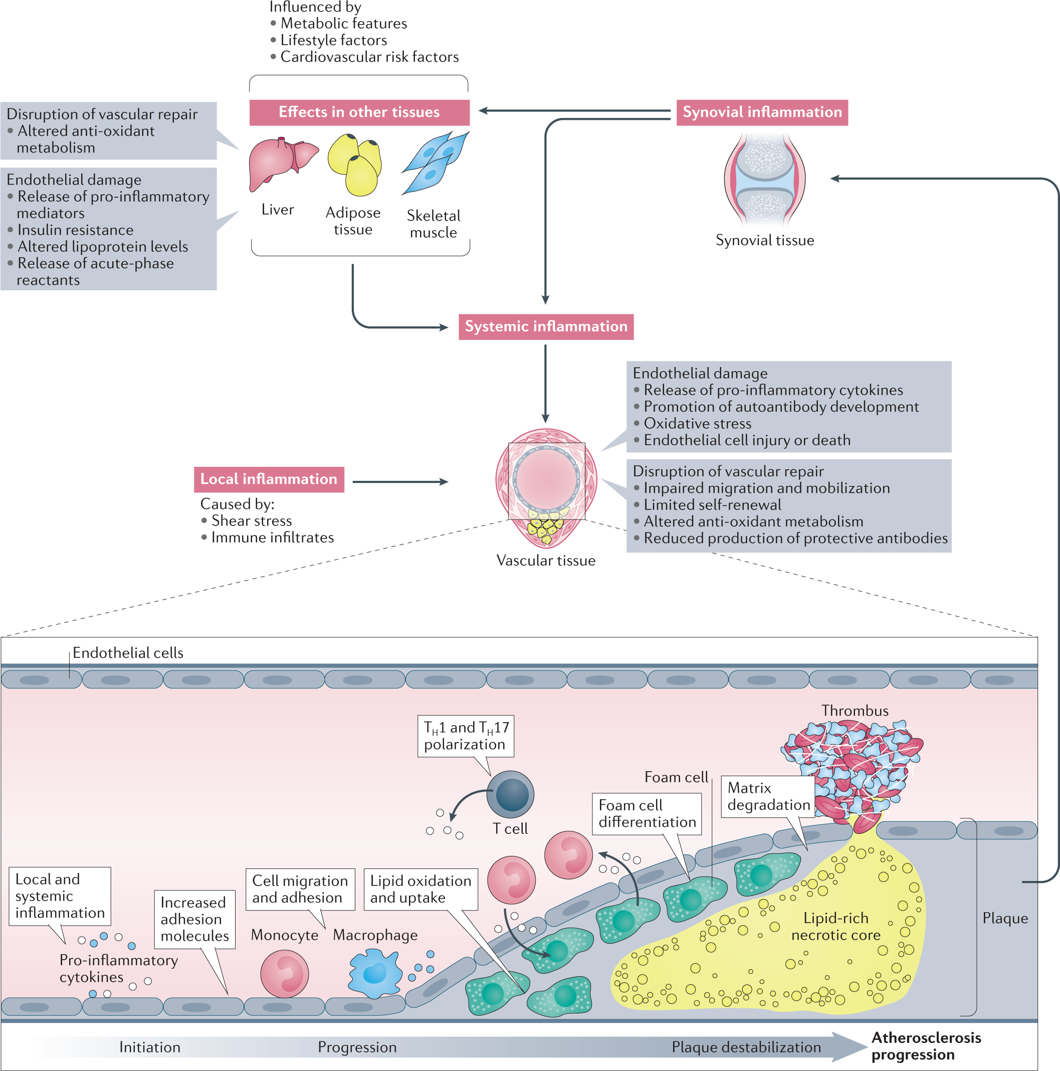 Proposed Anti-Inflammatory Diet Reduces Inflammation in Compliant,  Weight-Stable Patients with Rheumatoid Arthritis in a Randomized Controlled  Crossover Trial - ScienceDirect