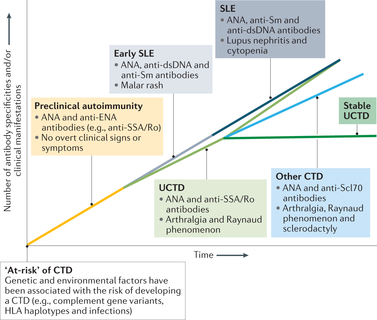 Differentiating Between Uctd And Early-Stage Sle: From Definitions To  Clinical Approach | Nature Reviews Rheumatology