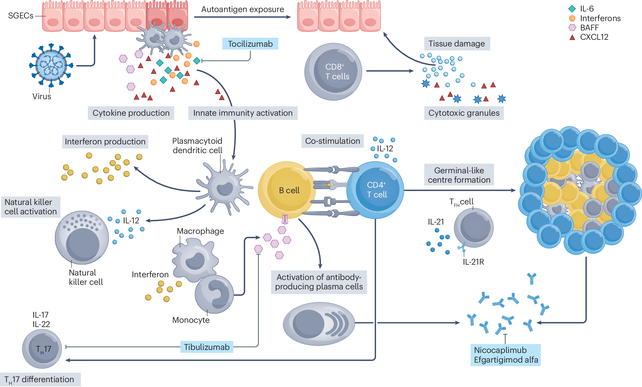 semaglutide and sjogren's Update on the pathophysiology and treatment of primary Sjögren syndrome