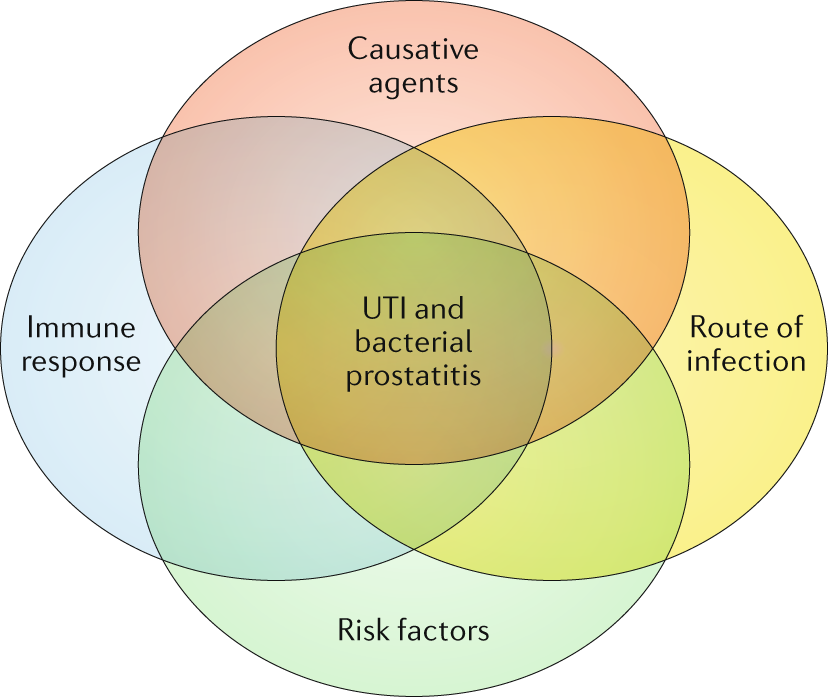 is prostatitis considered a uti A prosztatitis foltjai