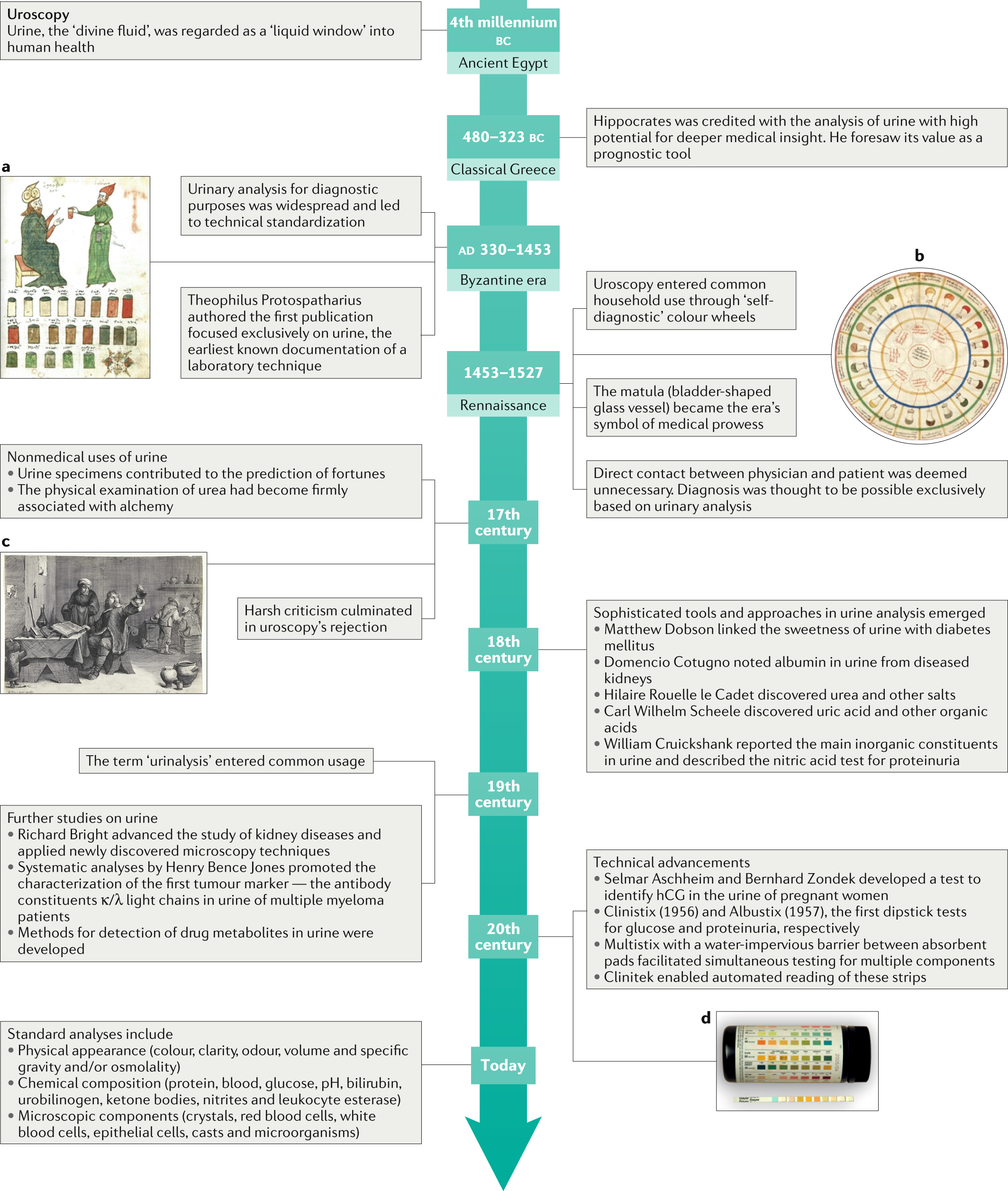 Uroscopy Chart