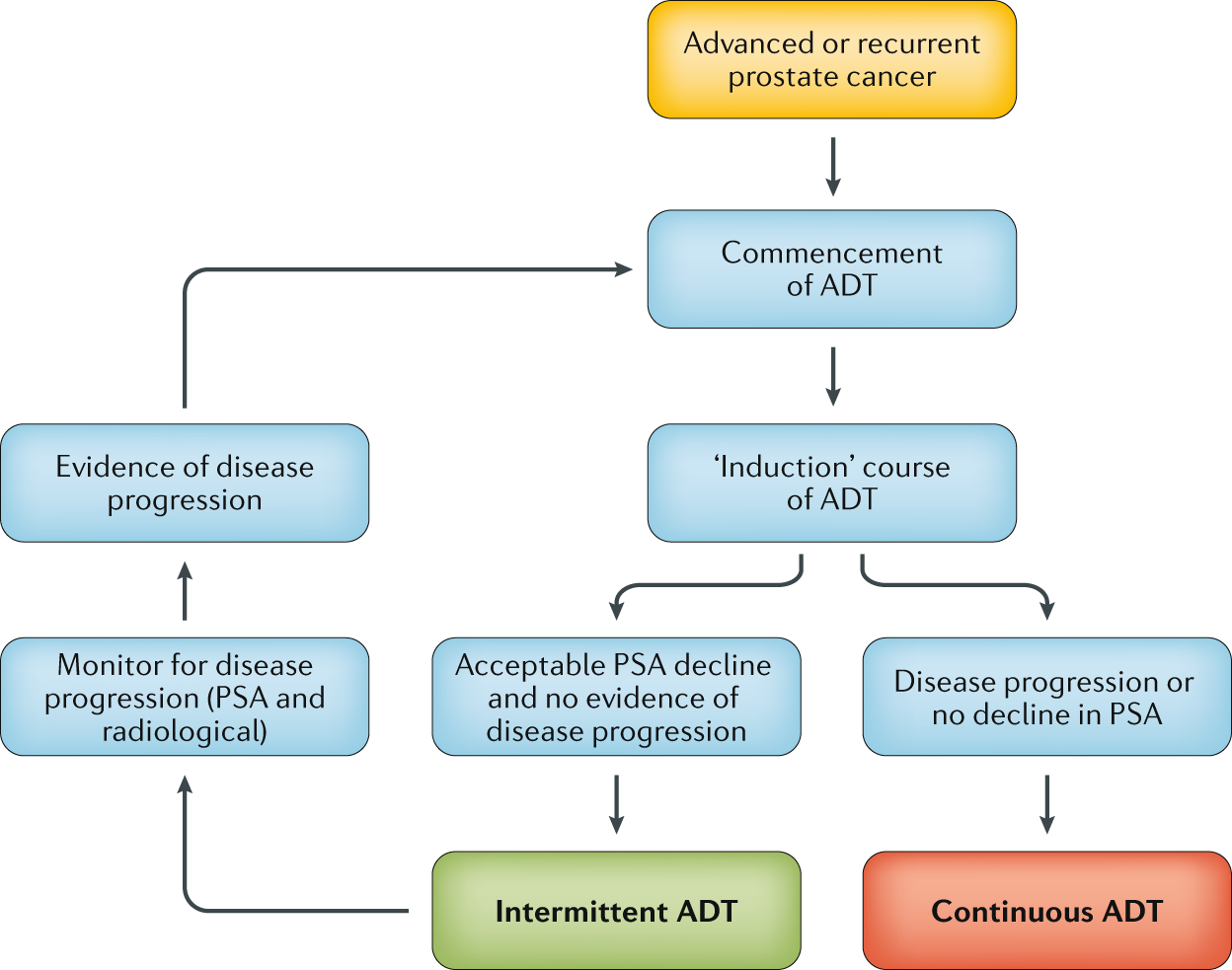 Intermittent versus continuous androgen deprivation therapy for advanced prostate  cancer | Nature Reviews Urology