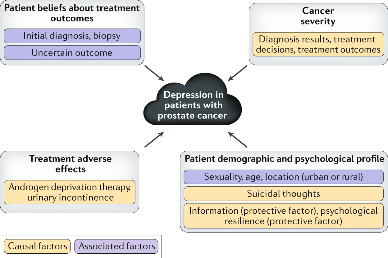 Depression and prostate cancer: implications for urologists and oncologists  | Nature Reviews Urology