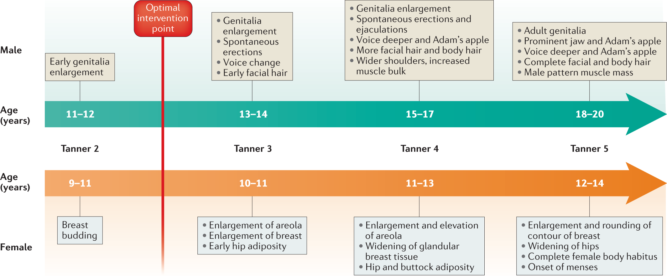 Post Hysterectomy Skeletal and Anatomical Changes- Hormones Matter