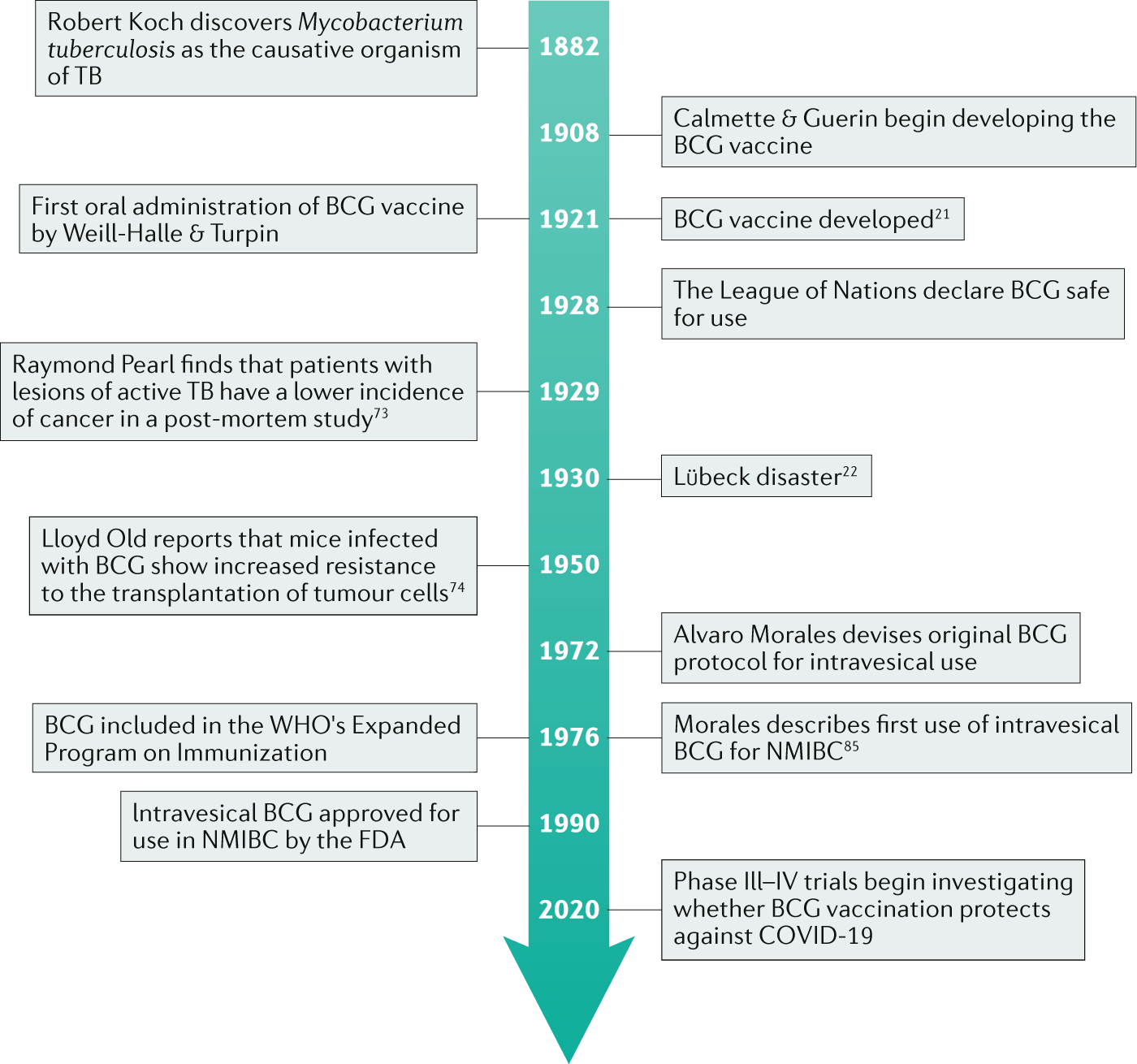 100 years of Bacillus Calmette–Guérin immunotherapy: from cattle to  COVID-19 | Nature Reviews Urology