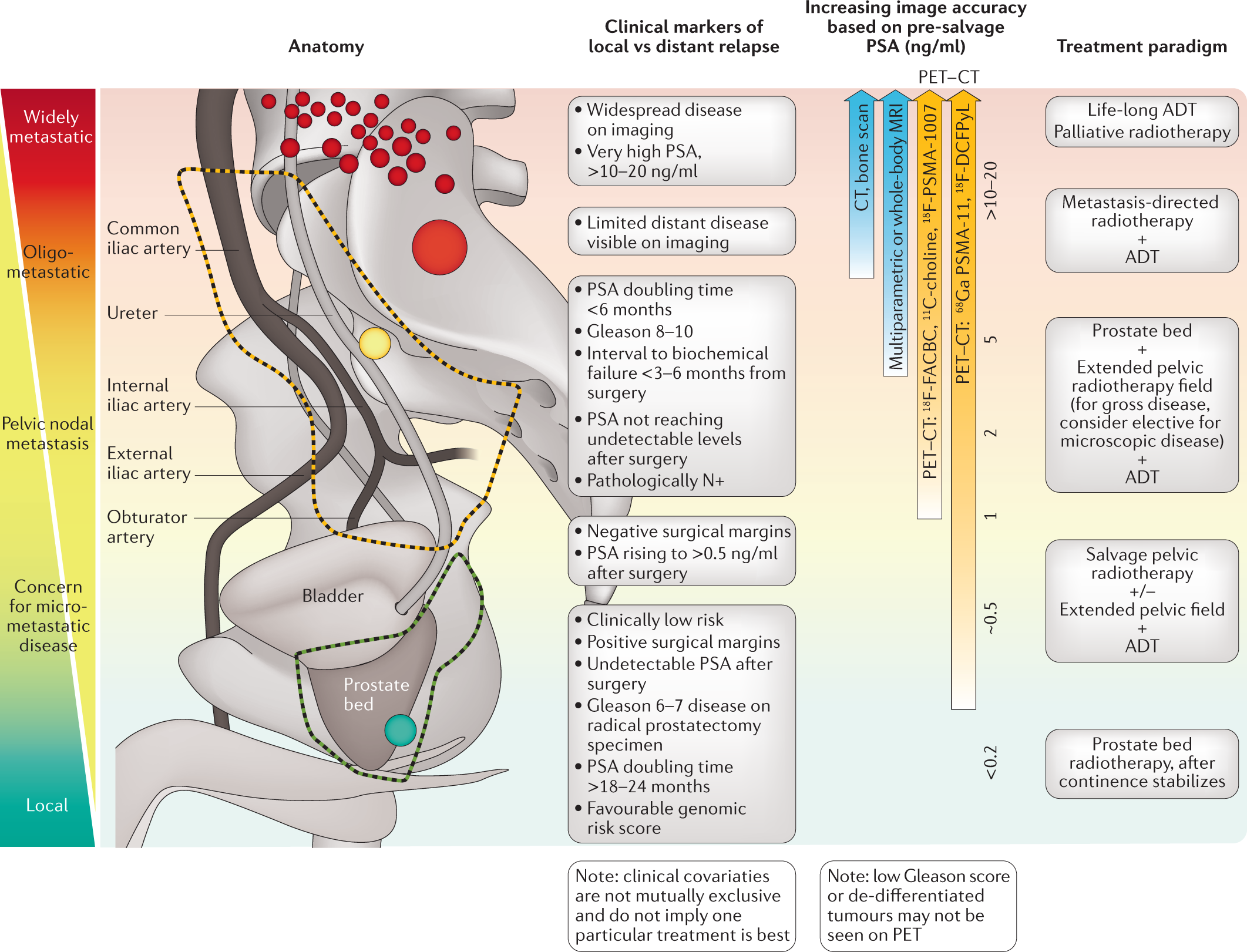 UROLOGY - Springer Verlag - climbcenter.ro