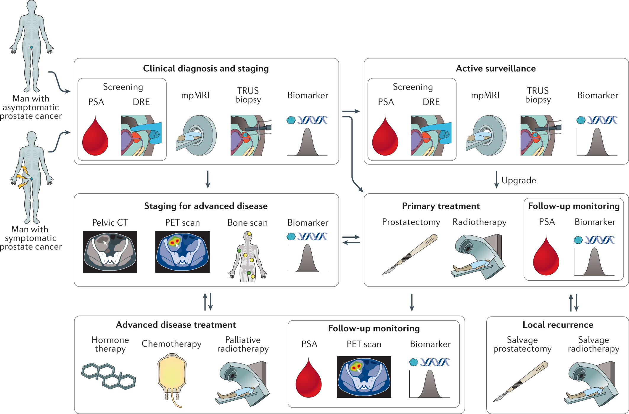 Proteomic discovery of non-invasive biomarkers of localized prostate cancer  using mass spectrometry | Nature Reviews Urology