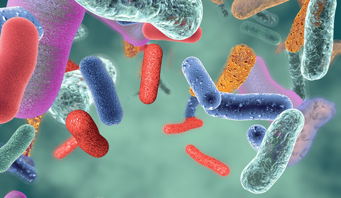 Levista P értékelések Prostatitis