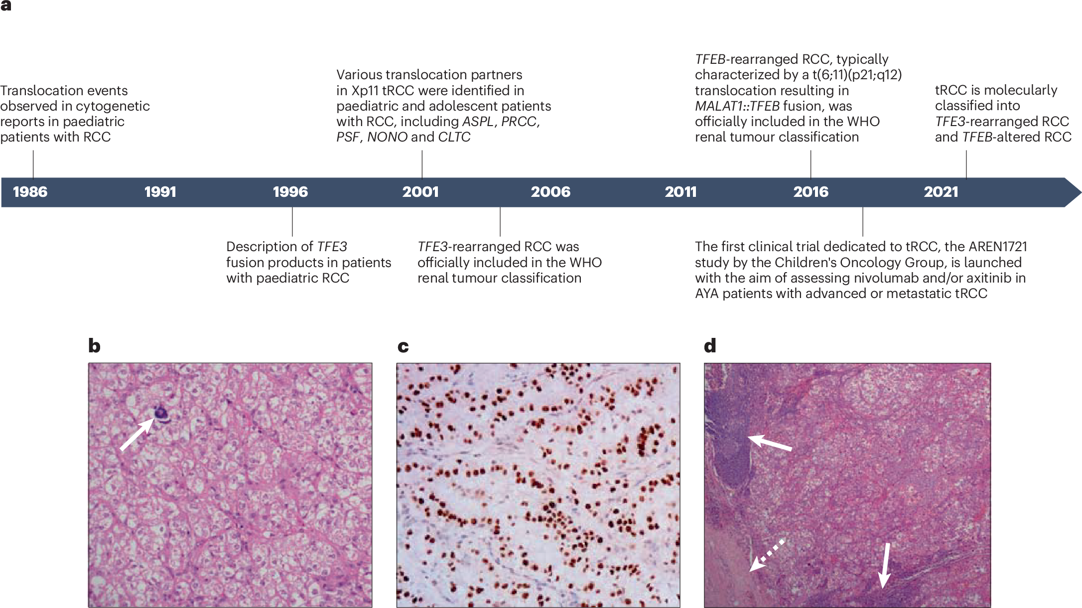 It's that time of the year: Champions League Final on the big screen at  Zebulon — May 31st! 🏆 PSG vs Inter Milan, live from Munich. Doors at 11am  / Kickoff at, image size:2172x1220