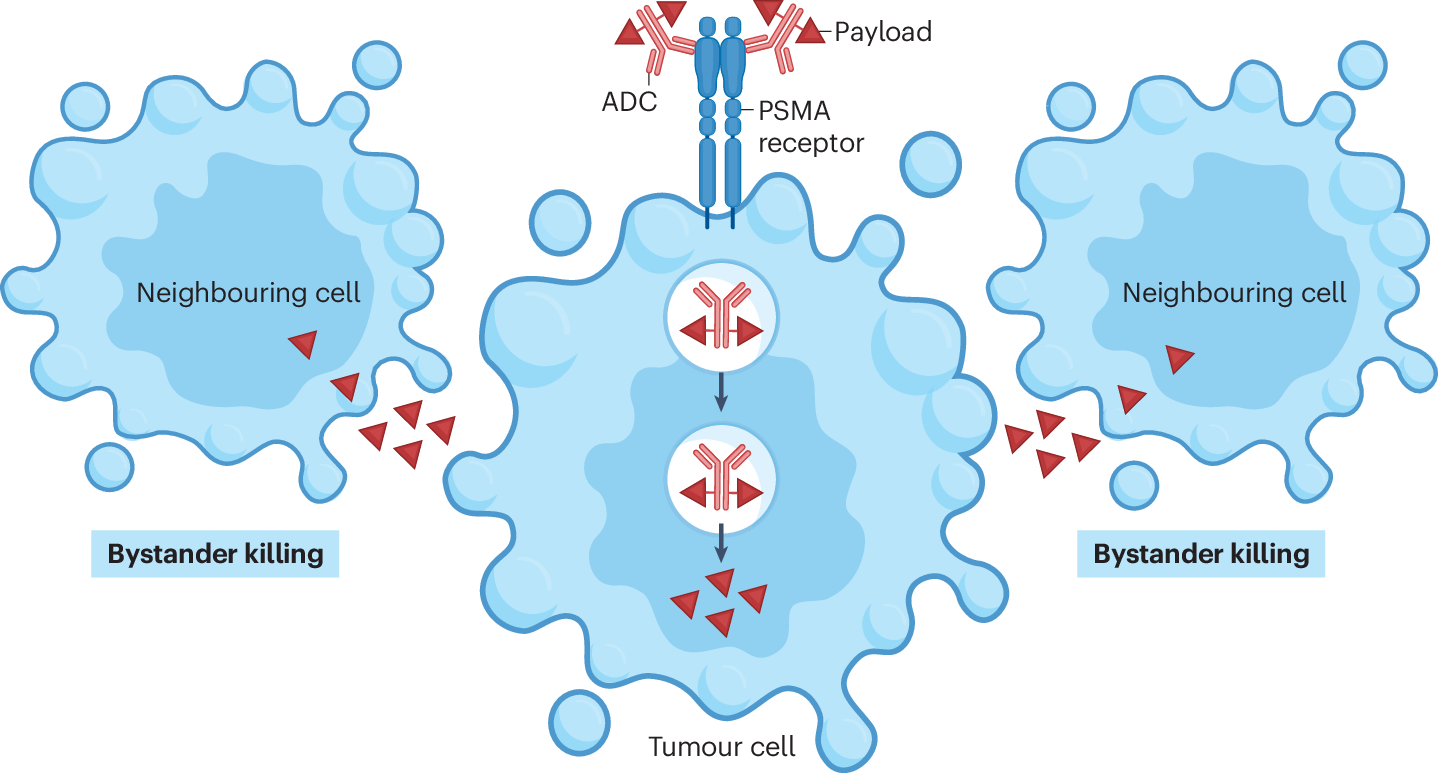Emerging evidence for sequencing and combining PSMA-based 