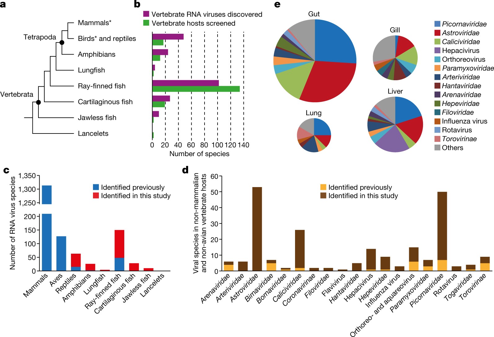 The Evolutionary History Of Vertebrate Rna Viruses | Nature The Evolutionary History Of Vertebrate Rna Viruses | Nature