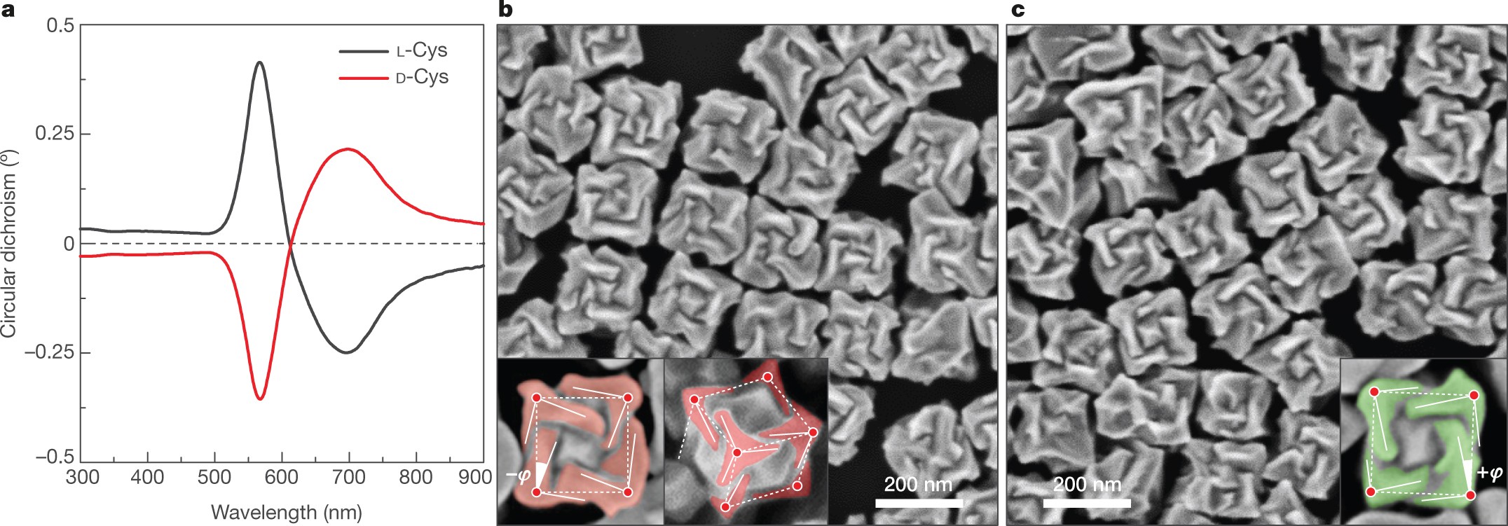 synthesis of chiral gold helicoid nanoparticles using glutathione Milan Italy IV Therapy
