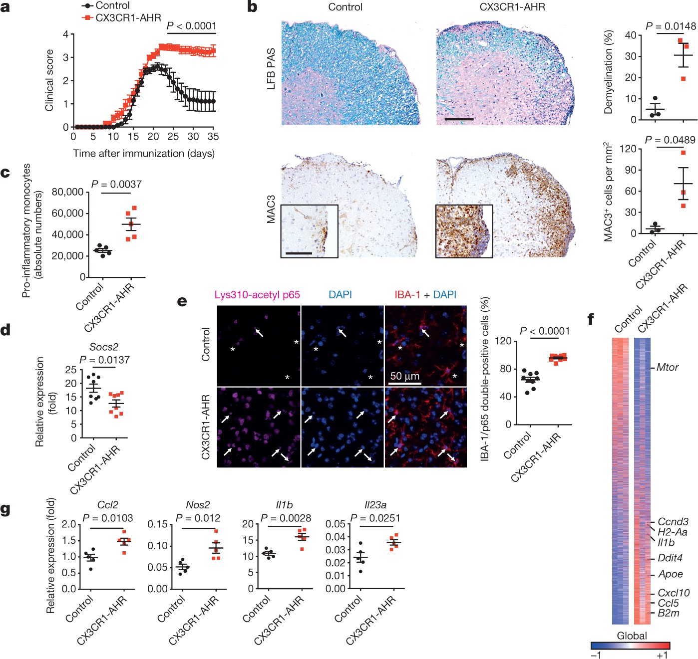 Microglial control of astrocytes in response to microbial metabolites |  Nature
