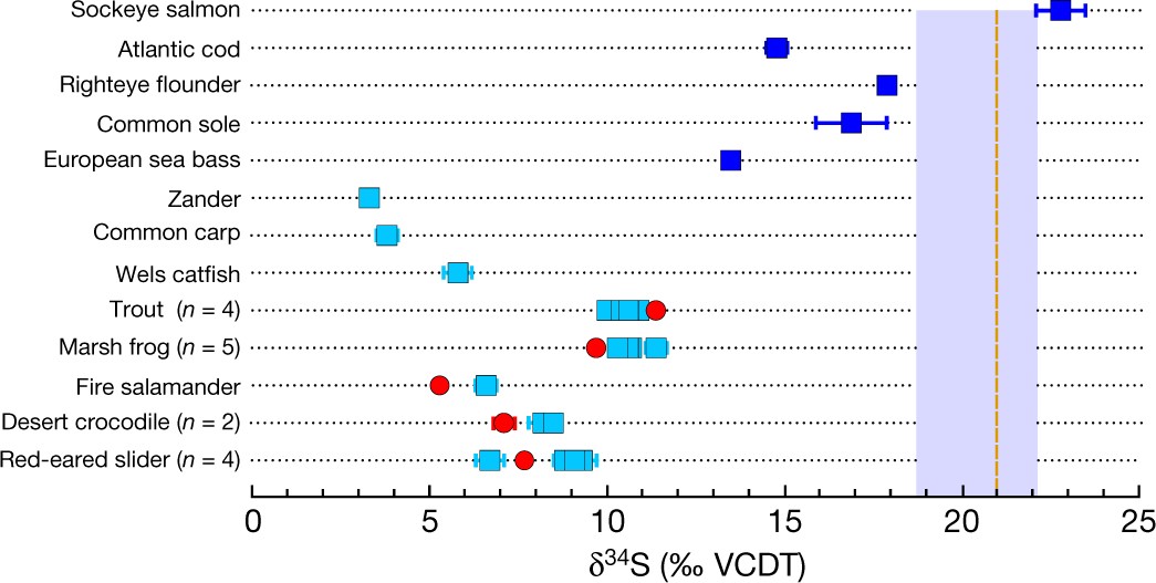 Euryhaline ecology of early tetrapods revealed by stable isotopes | Nature