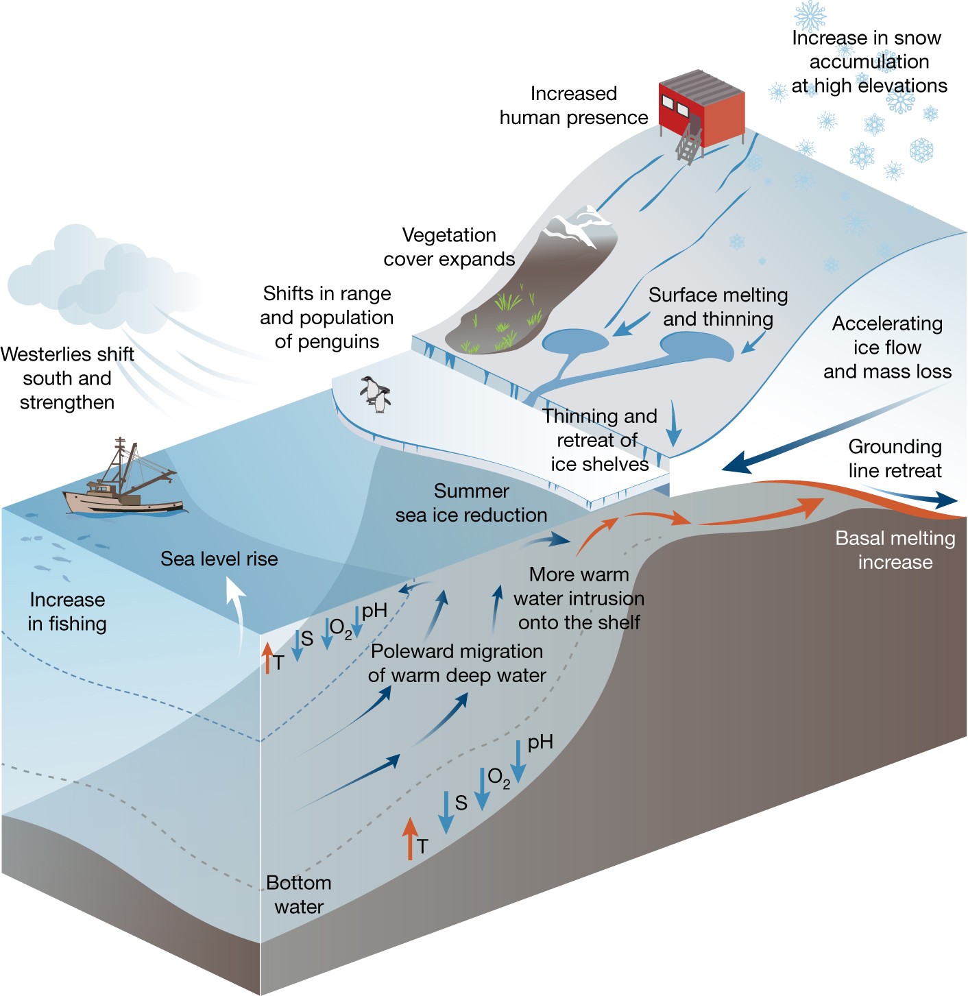 Choosing the future Antarctica Nature