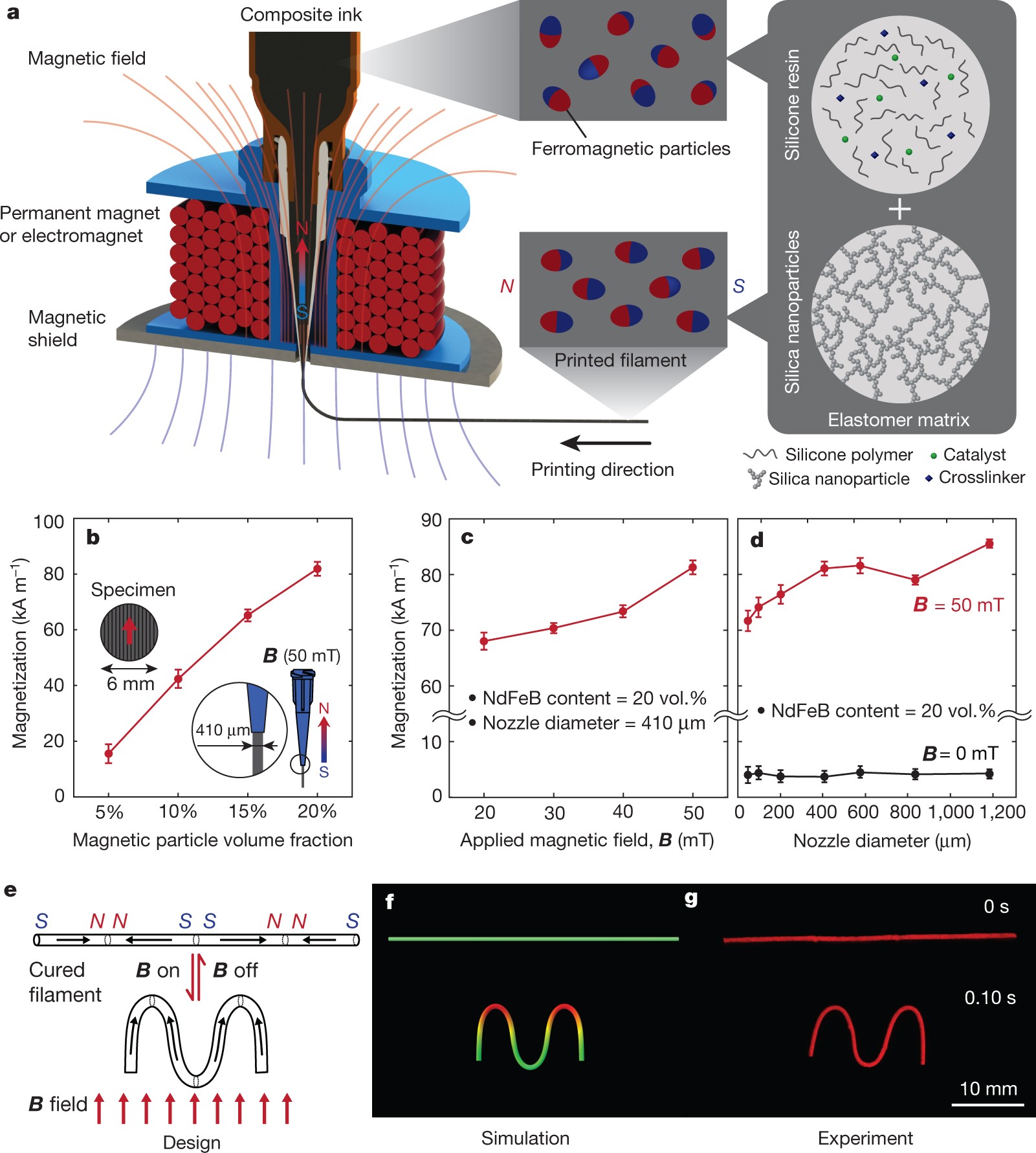 Printing ferromagnetic domains for untethered fast-transforming soft  materials | Nature