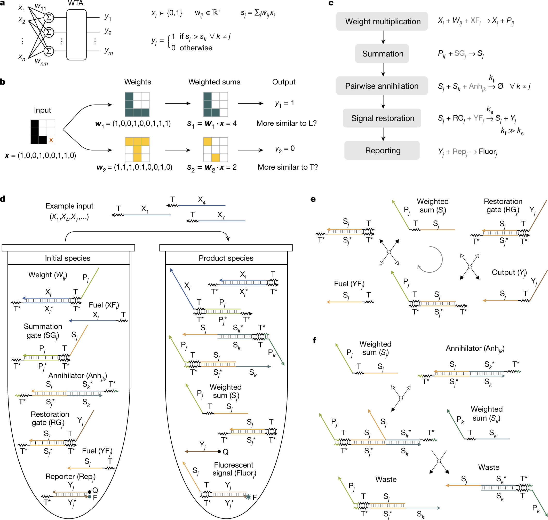 Scaling Up Molecular Pattern Recognition With Dna Based Winner Take All Neural Networks Nature