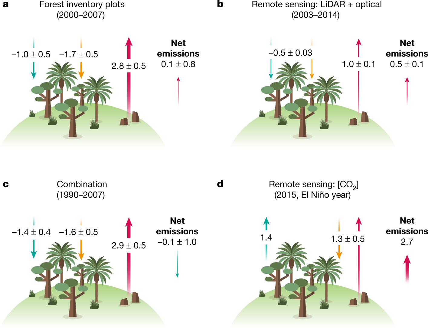 Forest Diagram Carbon Sinks Wiring Diagram