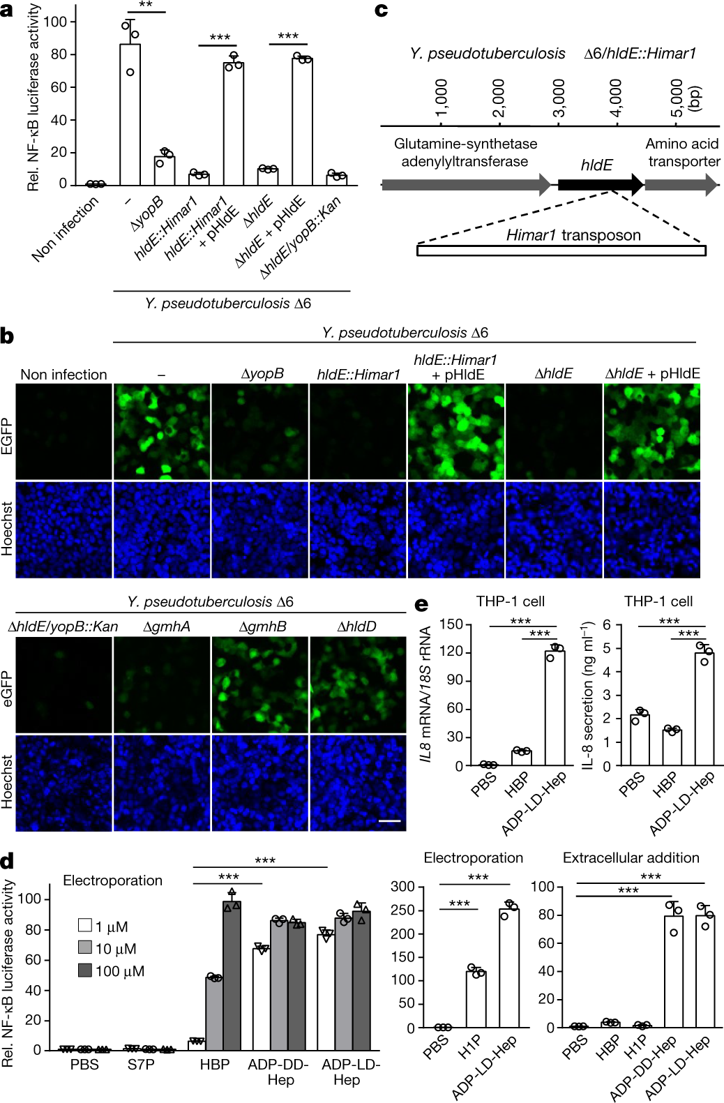 Adp Ez Login >> Alpha Kinase 1 Is A Cytosolic Innate Immune Receptor For Bacterial Adp Ez Login >> Alpha Kinase 1 Is A Cytosolic Innate Immune Receptor For Bacterial
