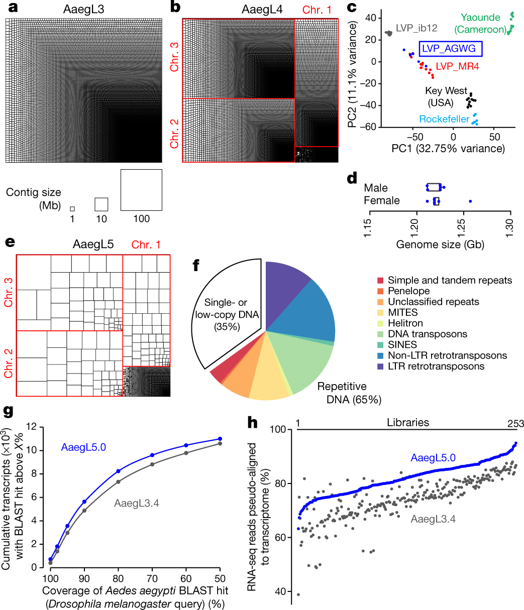Improved Reference Genome Of Aedes Aegypti Informs Arbovirus Vector Control Nature