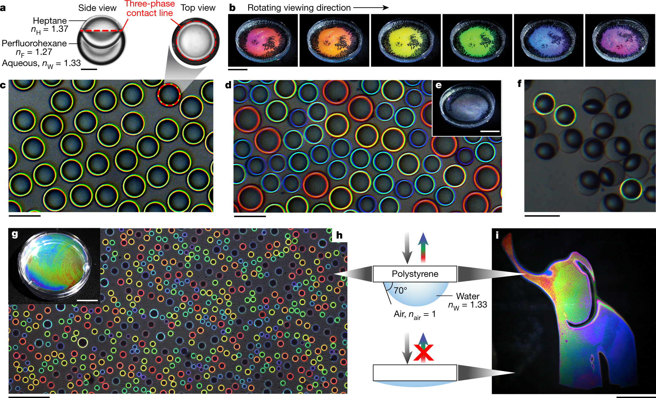 Colouration by total internal reflection and interference at microscale  concave interfaces | Nature
