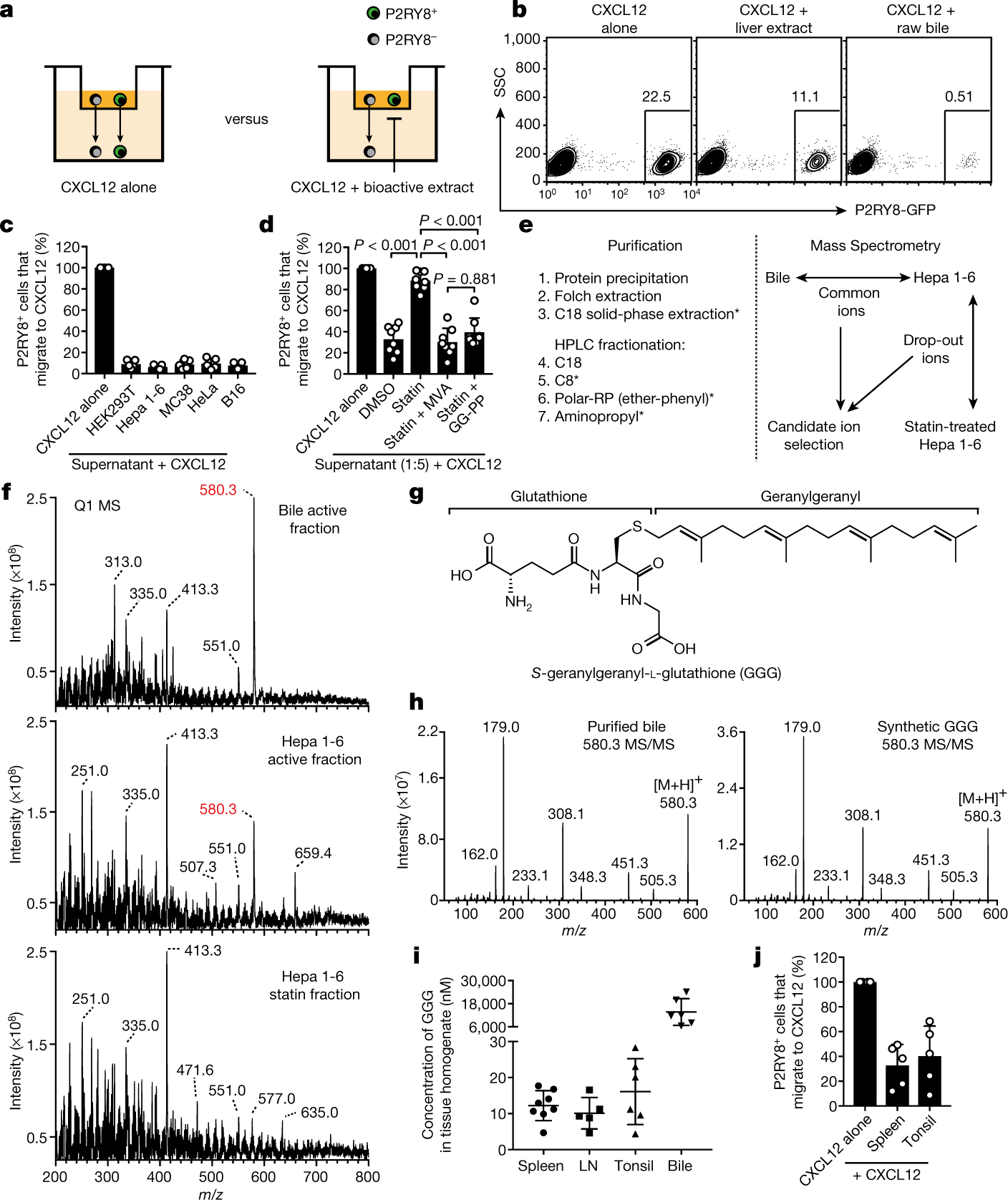 S Geranylgeranyl L Glutathione Is A Ligand For Human B Cell Confinement Receptor P2ry8 Nature