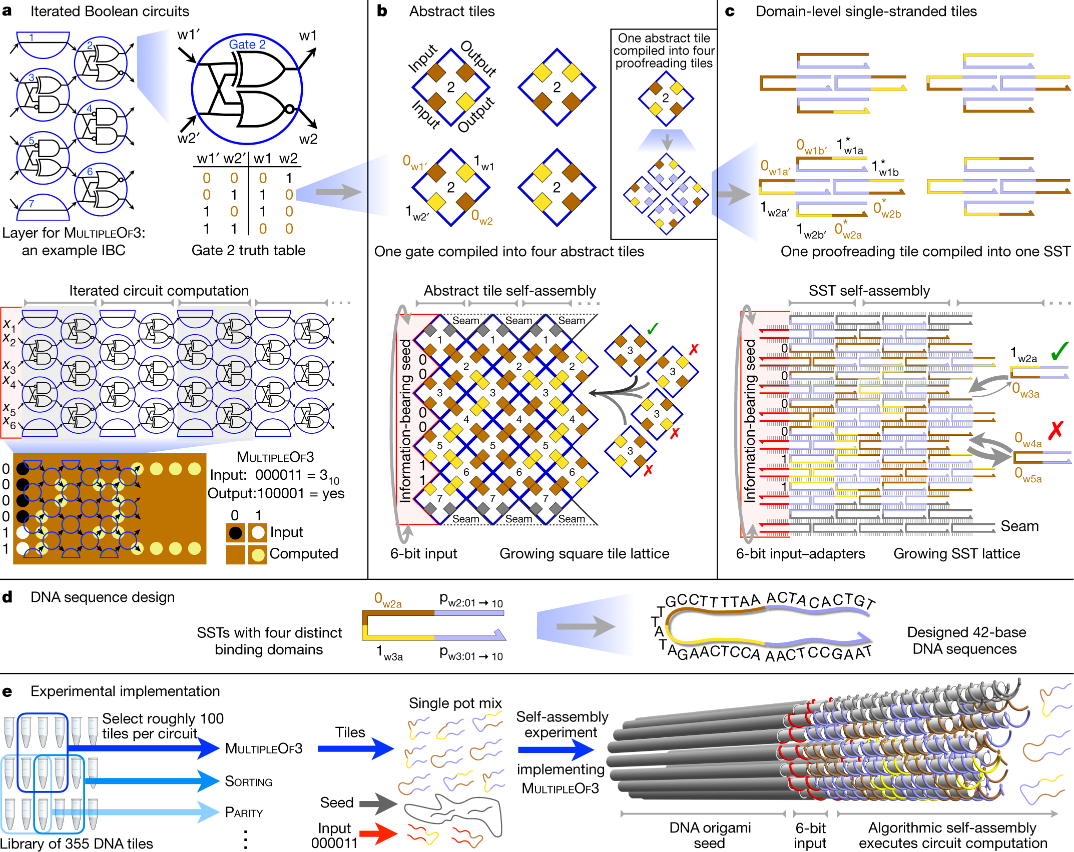 Diverse And Robust Molecular Algorithms Using Reprogrammable Dna