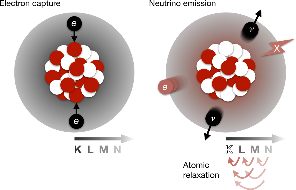Observation of two-neutrino double electron capture in 124Xe with