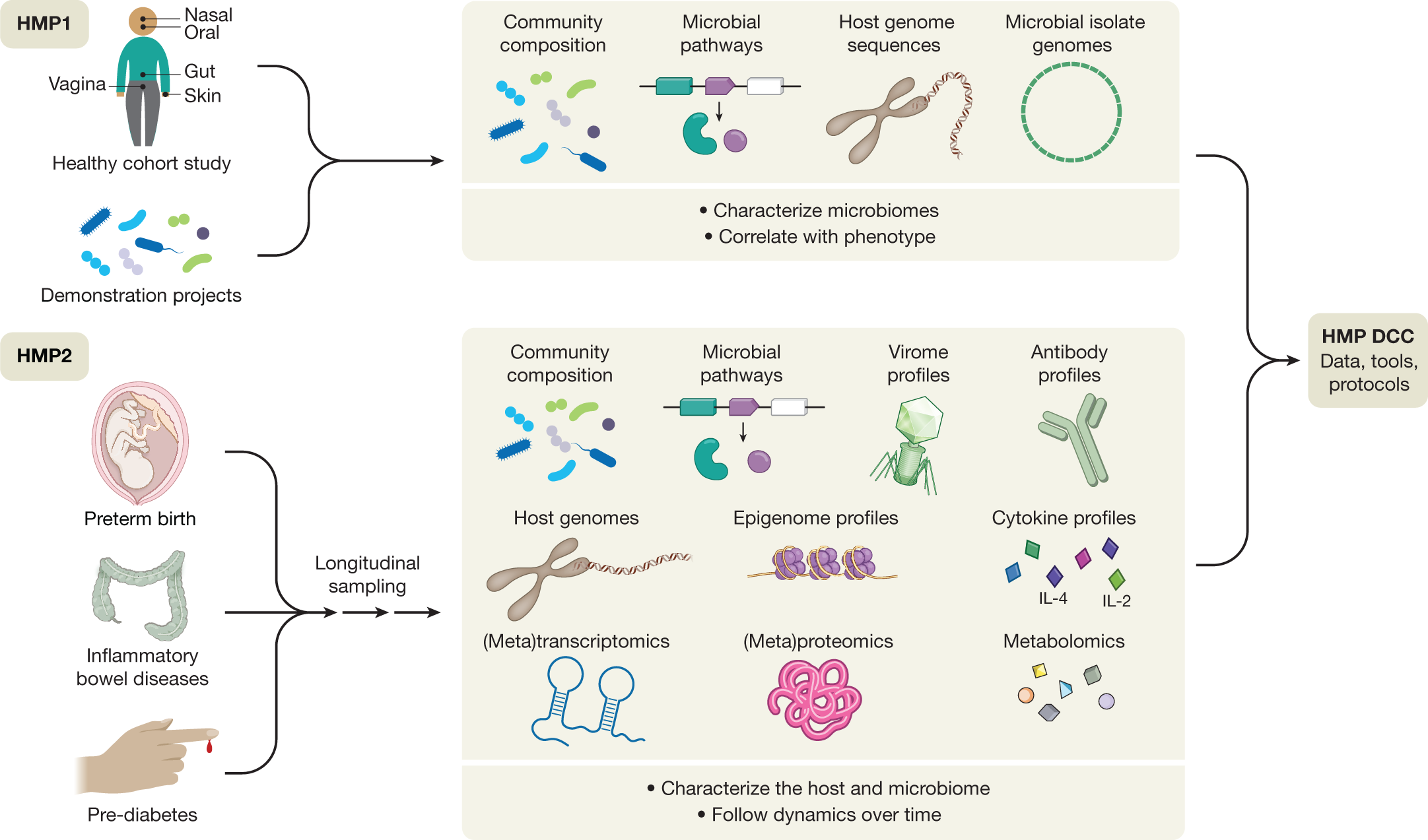 Diagram showing the first and second phases of the Human Microbiome Project.