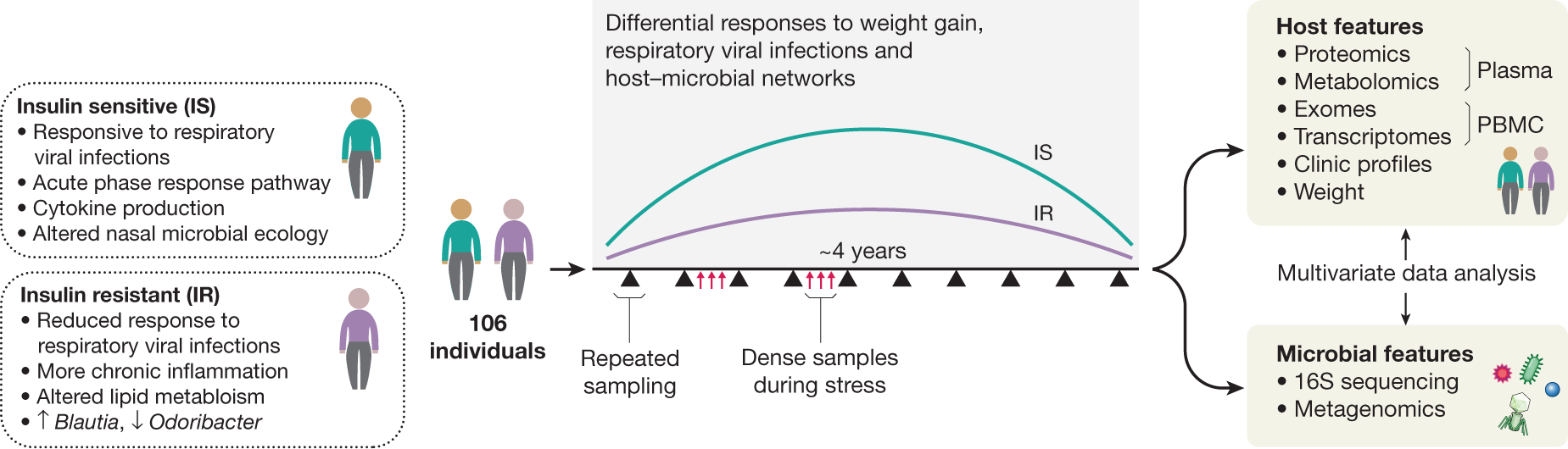 Connections between a host, their diet, and their microbiome in regards to disease development in those individuals with prediabetes. 