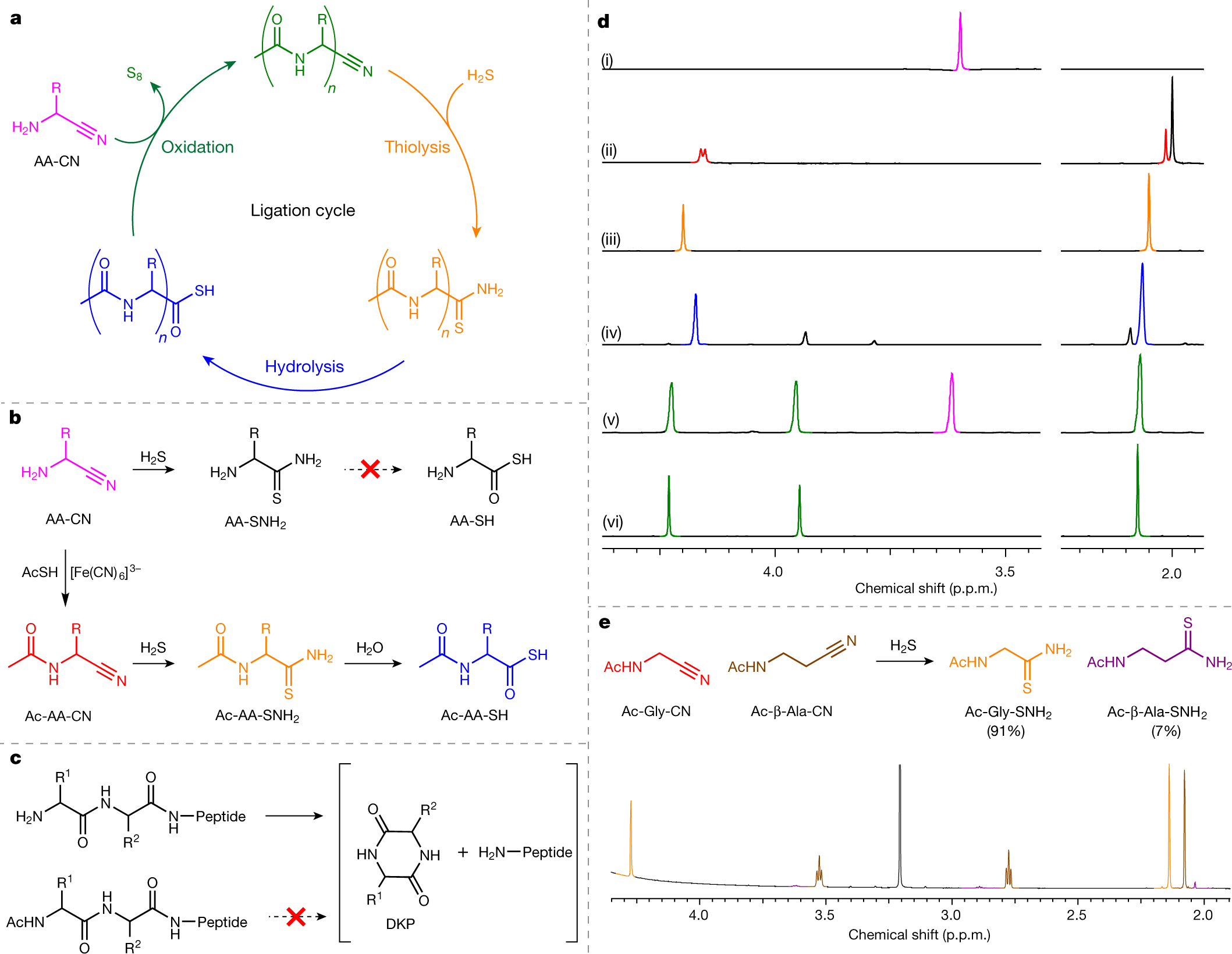 Peptide Ligation By Chemoselective Aminonitrile Coupling In - 