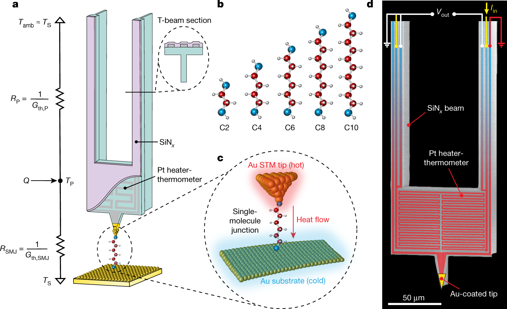 Thermal conductance of single-molecule junctions | Nature