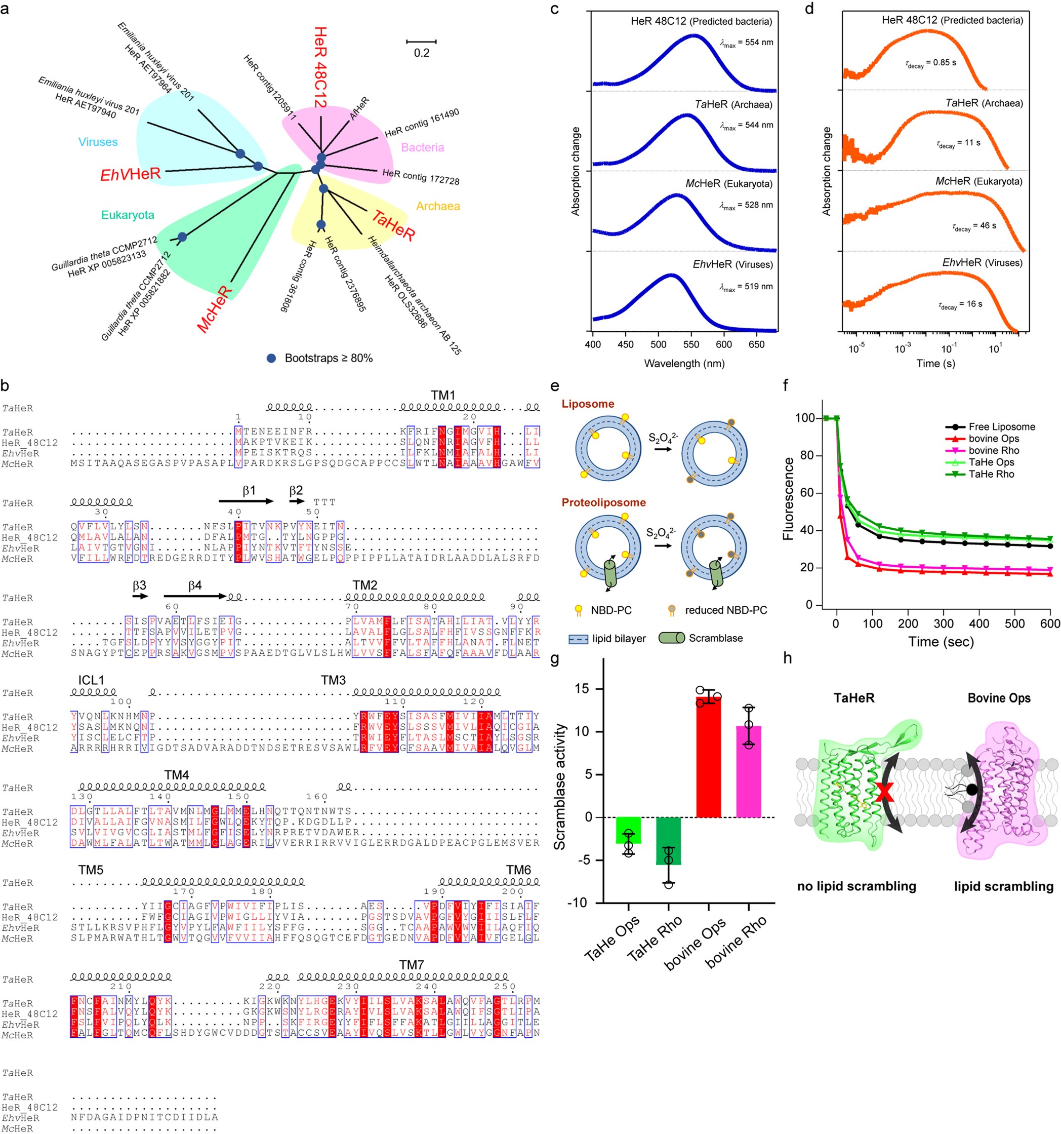 Extended Data Fig. 10